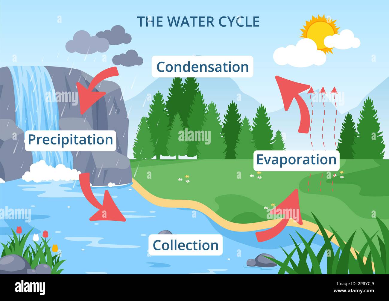Water Cycle of Evaporation, Condensation, Precipitation to Collection