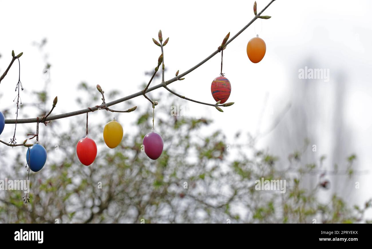 Easter bouquet with colored eggs on a branch Stock Photo