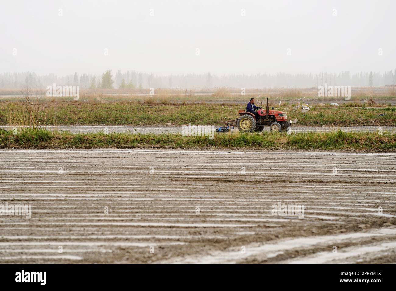 (230427) -- YULI, April 27, 2023 (Xinhua) -- Arkin Reyim drives a tractor to work at a cotton field in the Bax Mali Village of Yuli County, northwest China's Xinjiang Uygur Autonomous Region, April 22, 2023.  Arkin Reyim is a 51-year-old cotton farmer with more than 300 mu (20 hectares) of cotton fields in the Bax Mali Village of Yuli County in Xinjiang.     Arkin's courage and unique vision has prompted him to start growing cotton in 2004 when he got married with his wife Hasiyat Kasim. Since then, Arkin has devoted himself into the cultivation of cotton for over 10 years, thus making him an Stock Photo