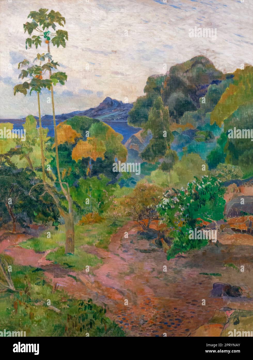 Martinique Landscape, Paul Gauguin, 1887, Stock Photo
