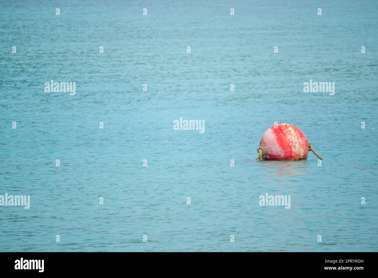 Buoy floating in the sea Used for alignment in the sea Stock Photo - Alamy