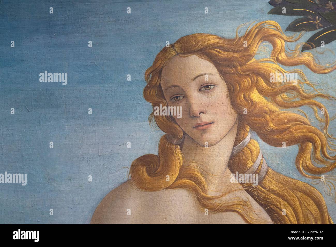 Birth of Venus, detail, Sandro Botticelli, circa 1485, Galleria degli Uffizi, Uffizi Gallery, Florence, Tuscany, Italy Stock Photo