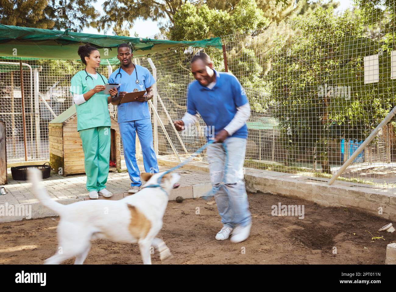 Dog, veterinary and healthcare doctor or team with tablet, writing