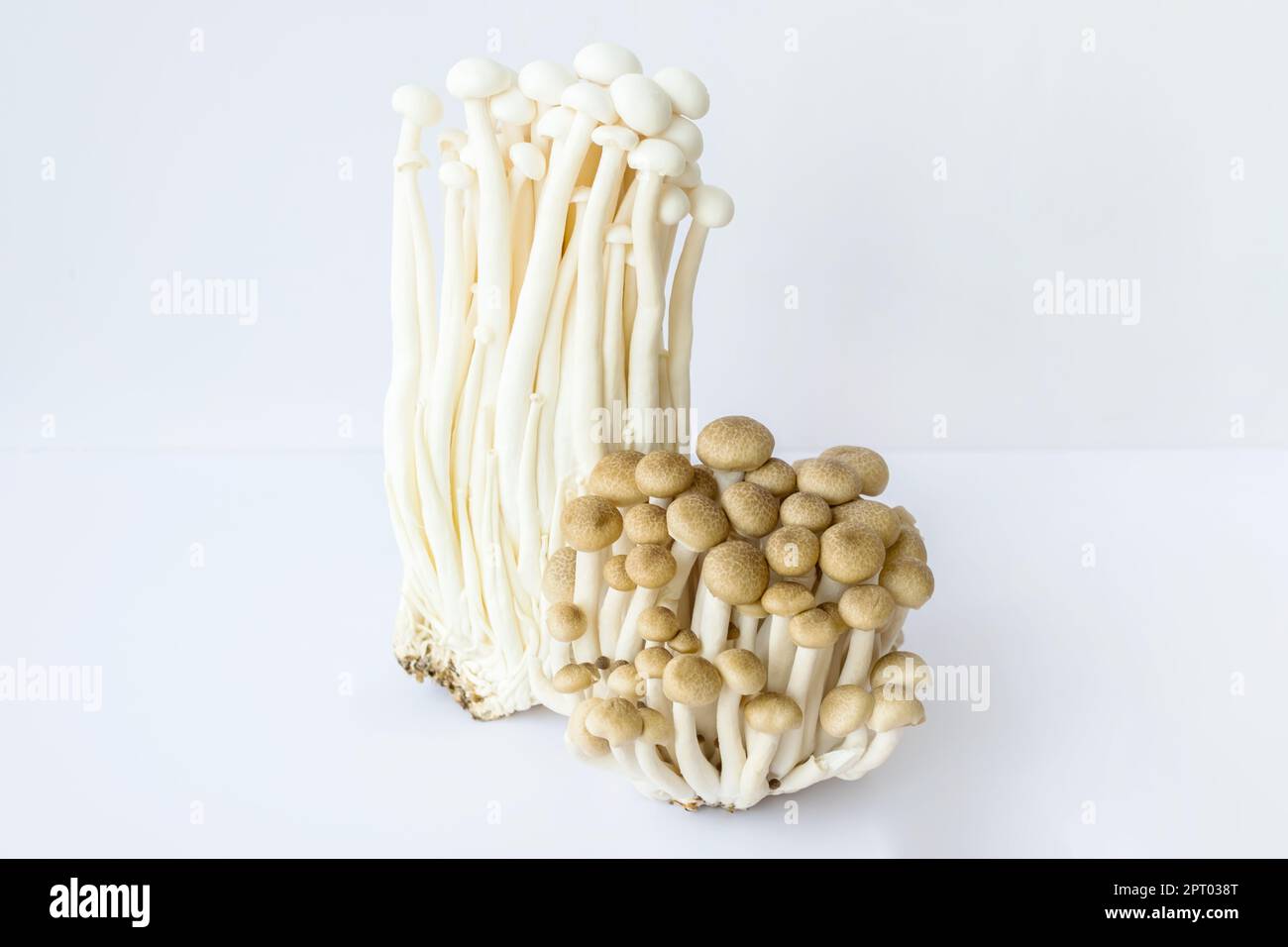 Enoki and shimeji edible mushrooms on white Stock Photo Alamy