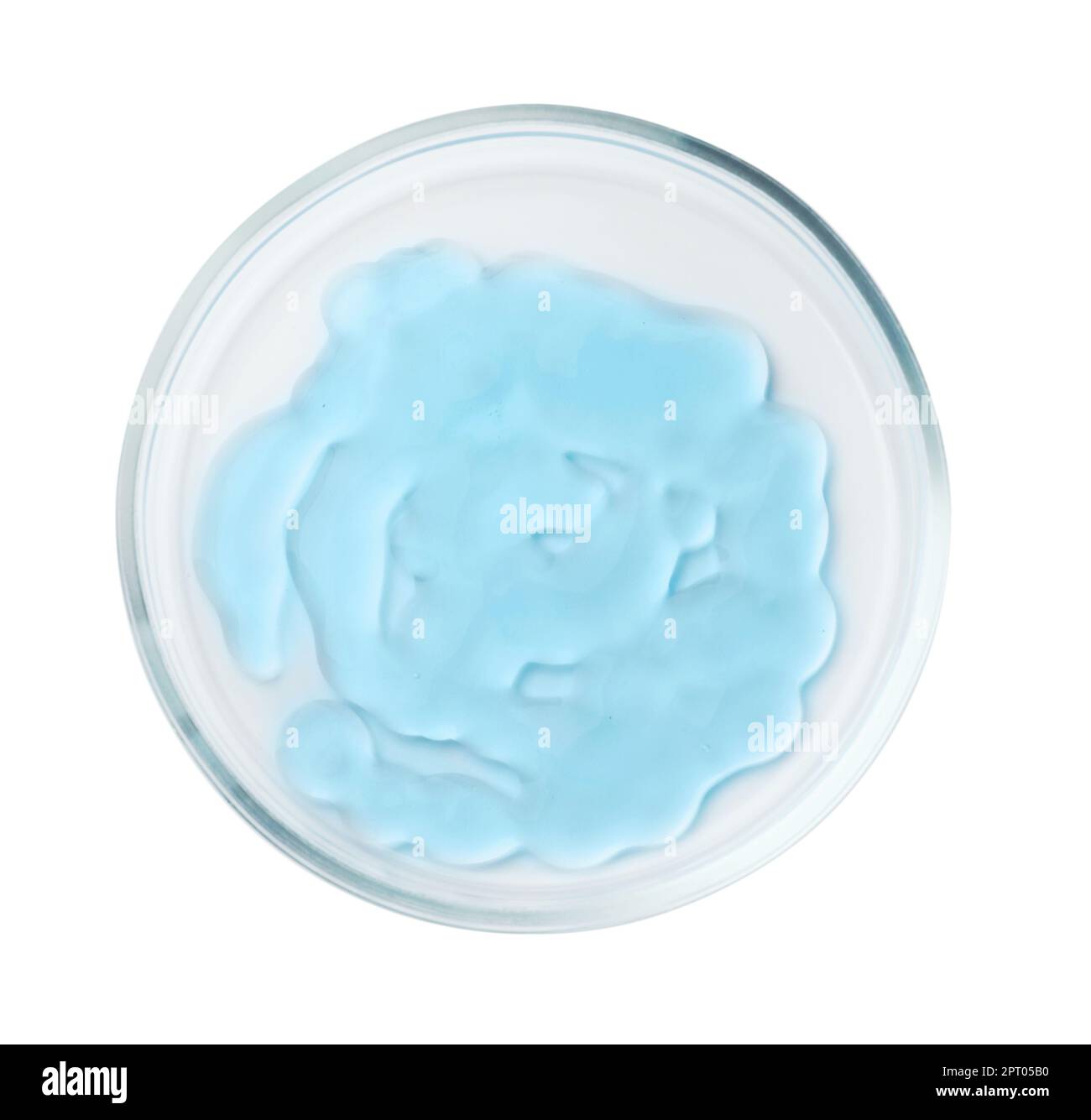 Petri dish with light blue liquid isolated on white, top view Stock ...