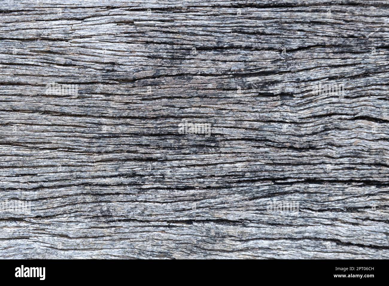 Old grey wood board. Rustic wood background. Stock Photo