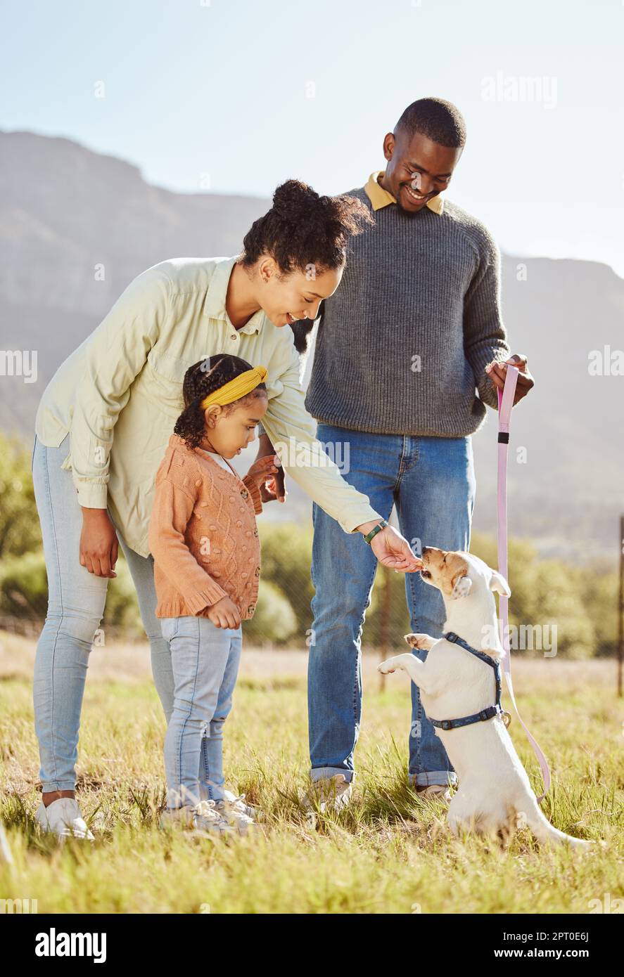 happy-family-with-a-dog-in-nature-to-relax-in-summer-holidays-or
