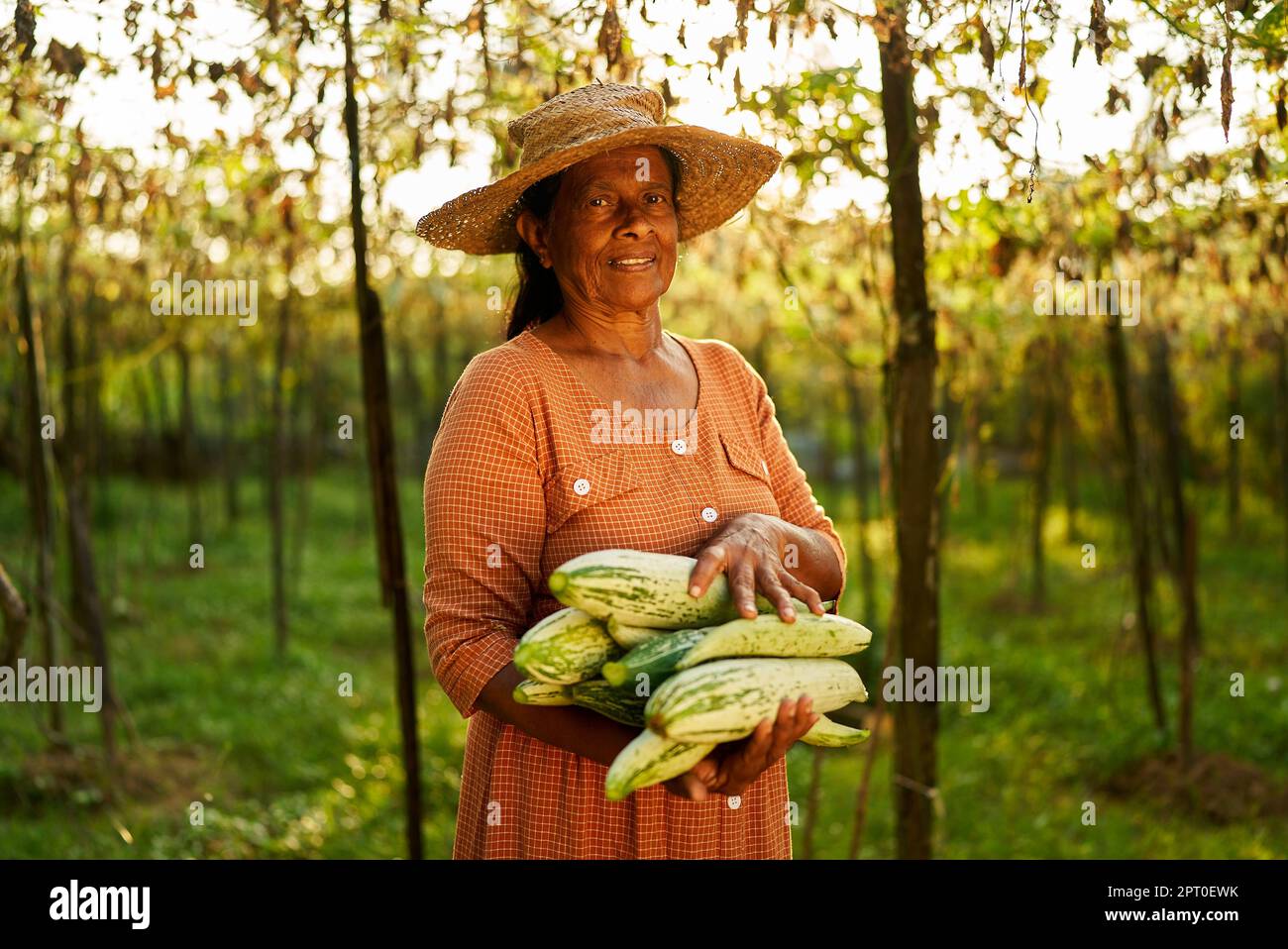Elderly happy Indian female farmer in straw hat holding green harvested ...