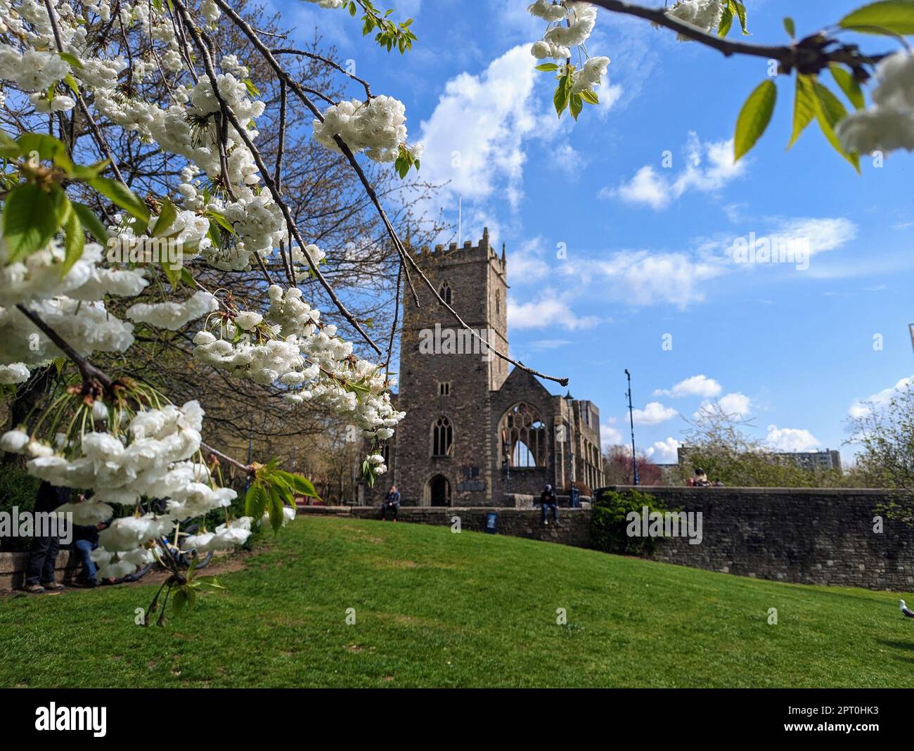 Spring blossom around St Peter's Church in Bristol on a clear day Stock ...