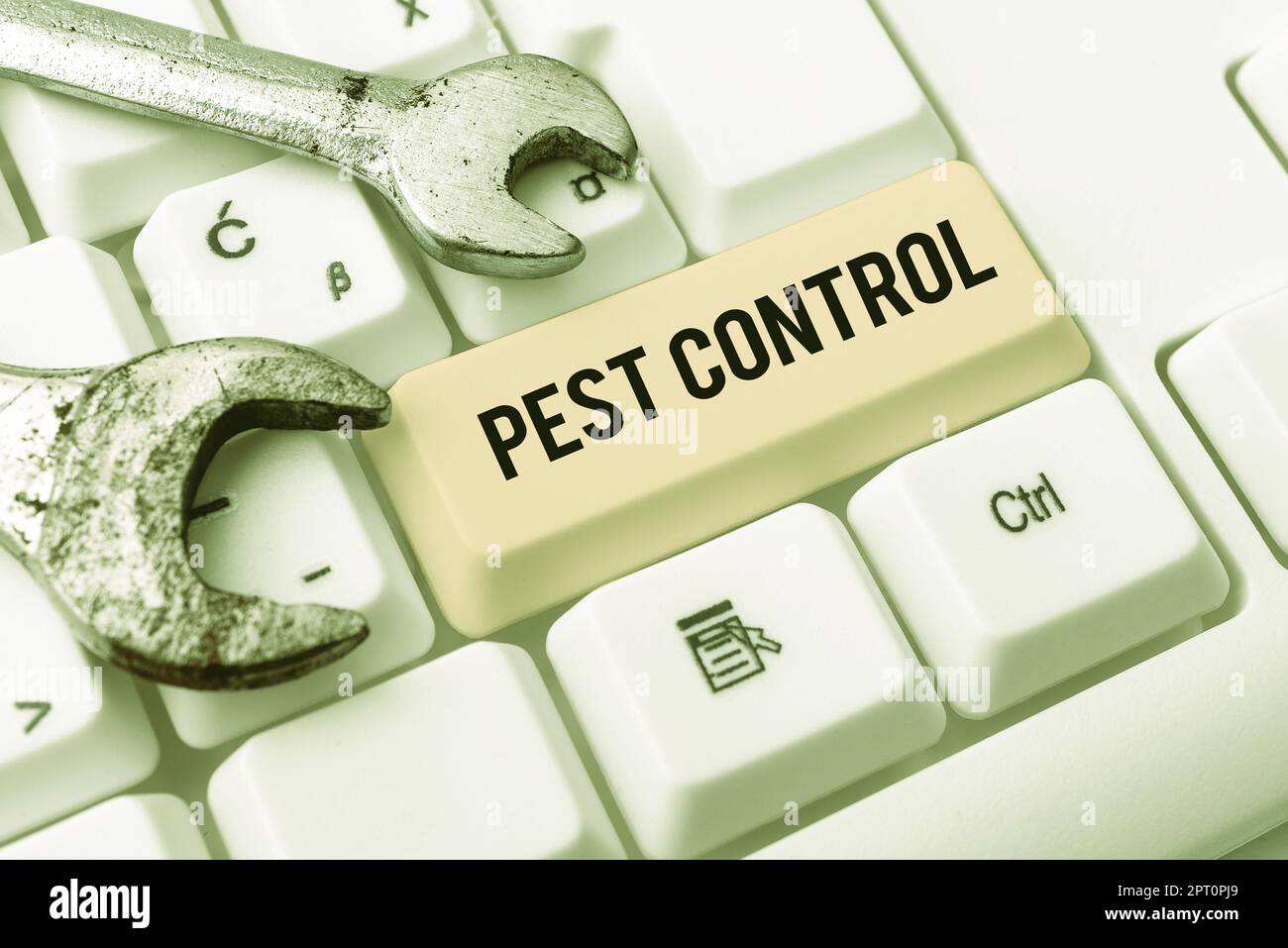 Text sign showing Pest Control, Word for Killing destructive insects ...
