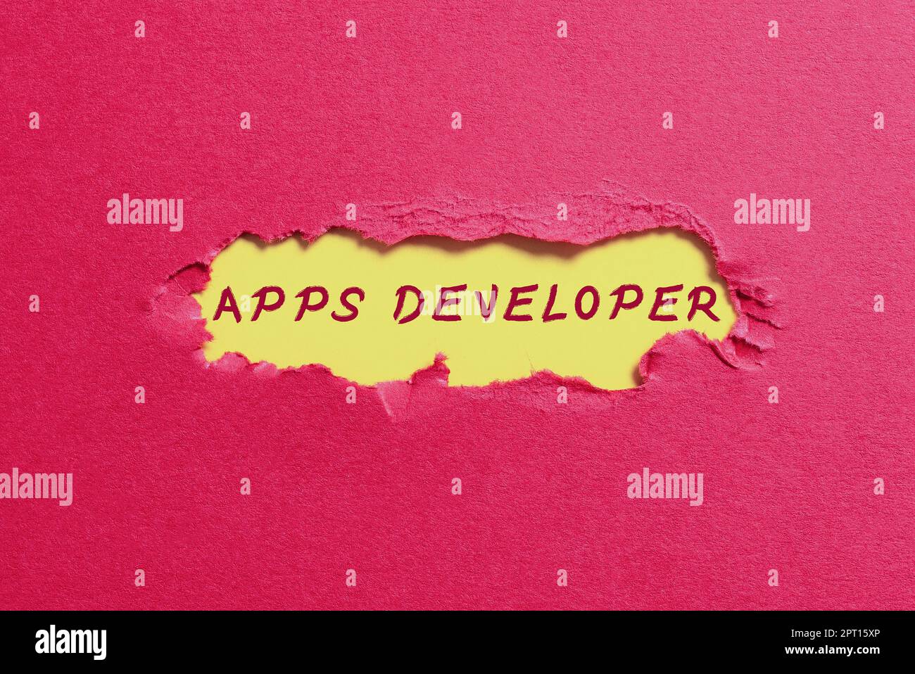 Conceptual display Apps Developer, Business showcase Graphic artist Software Programmer and Analyst Experts Stock Photo