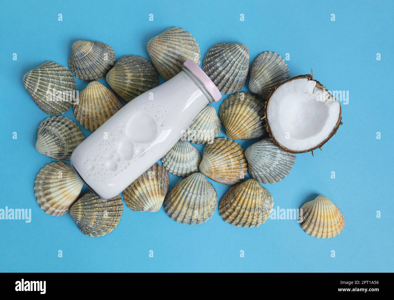 A bottle of vegan coconut milk and a piece of coconut lies on seashells on a blue background, alternative milk concept, top view Stock Photo