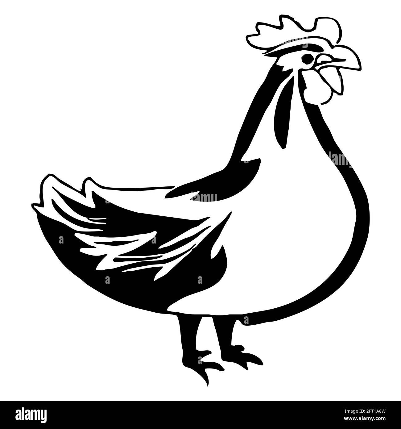 Animal illustration. Black hen on a white background Stock Photo - Alamy
