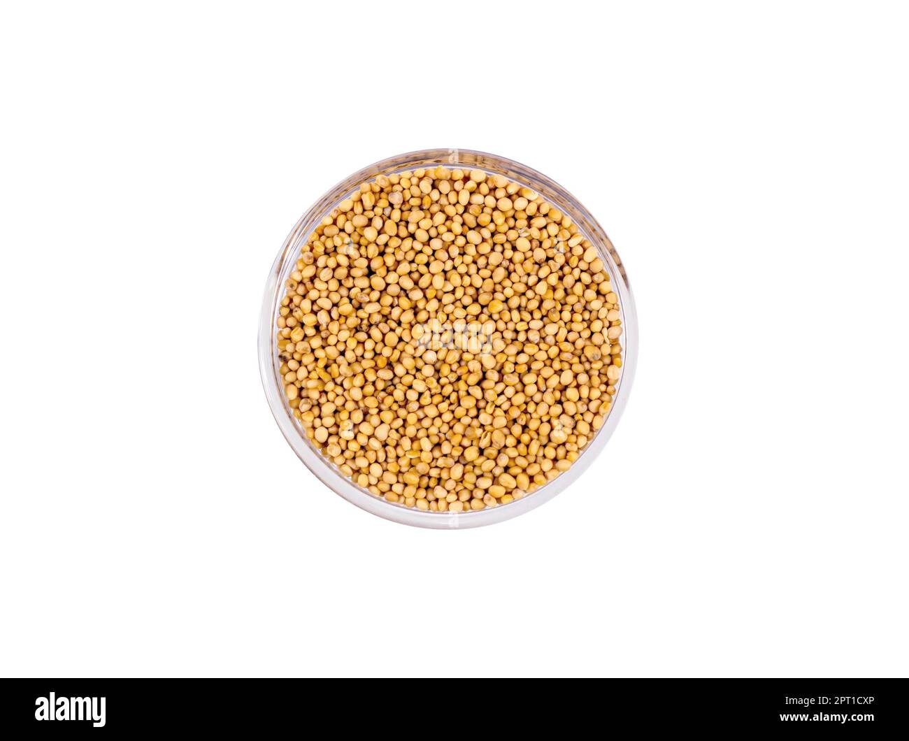 Whole grain dry Dijon mustard seeds in a glass round bowl isolated on