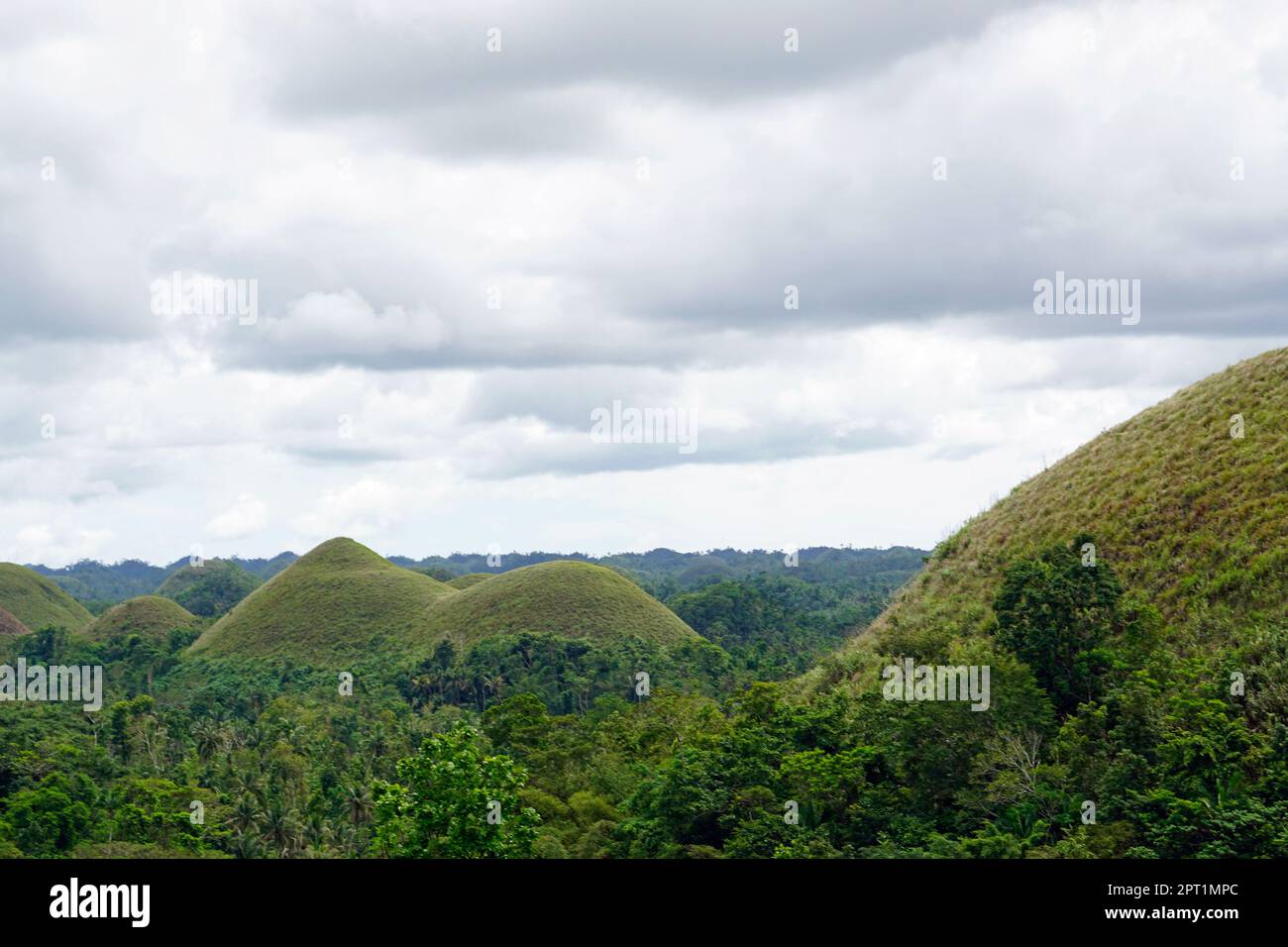 the chocolate hills of bohol on the philippines change their color to