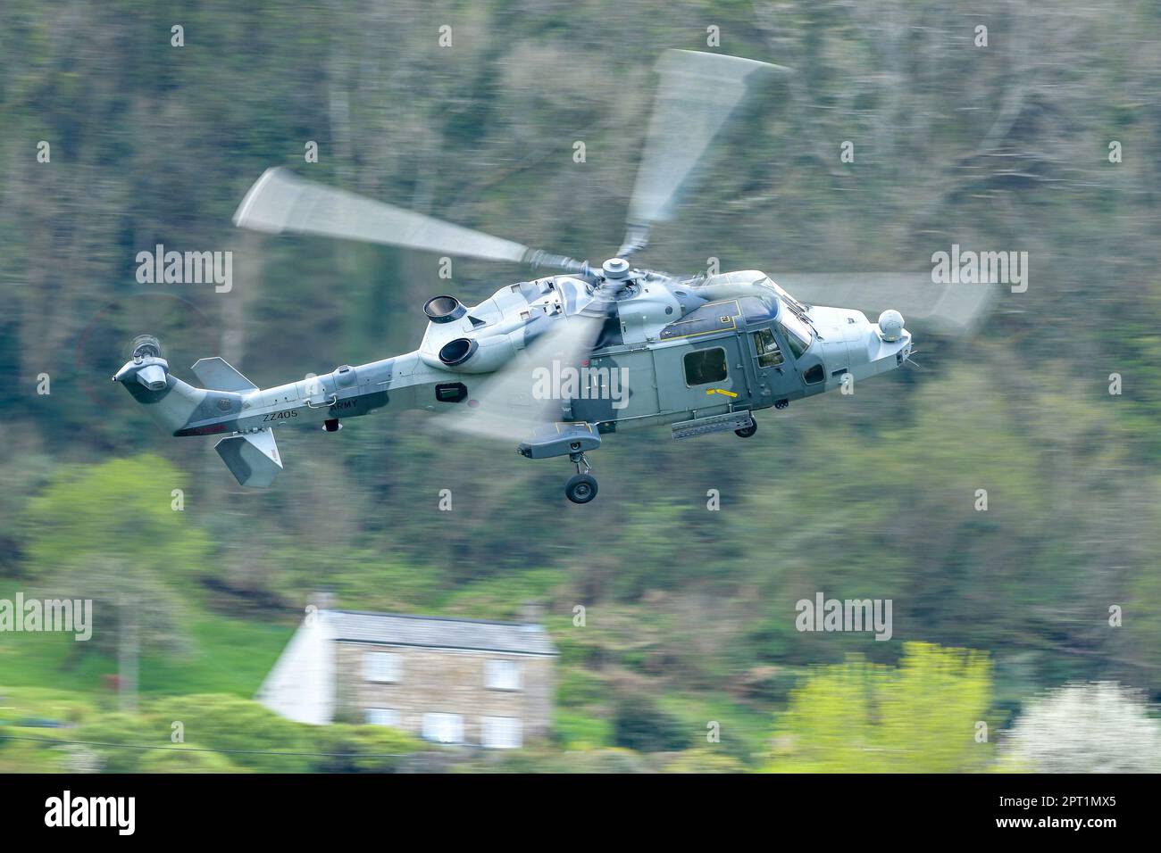 Wildcat Helicopter Stock Photo
