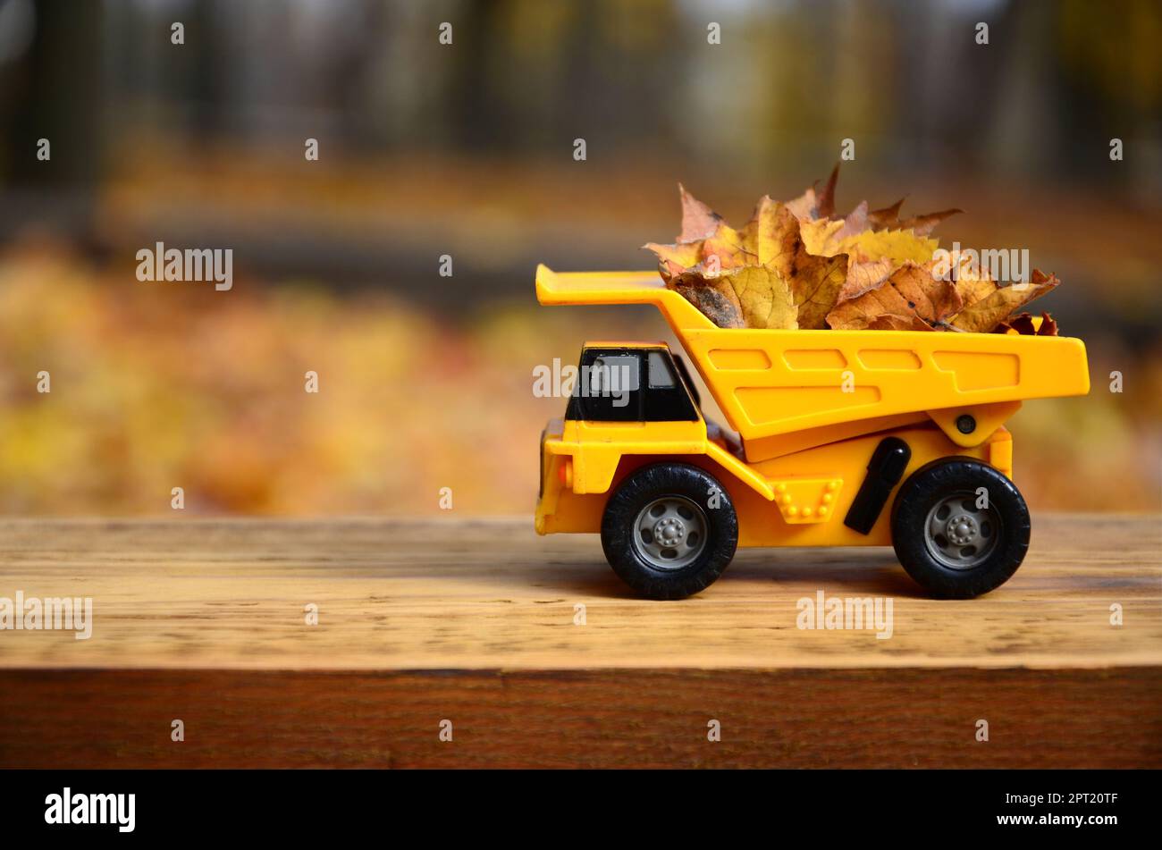 A small toy yellow truck is loaded with yellow fallen leaves. The car stands on a wooden surface against a background of a blurry autumn park. Cleanin Stock Photo
