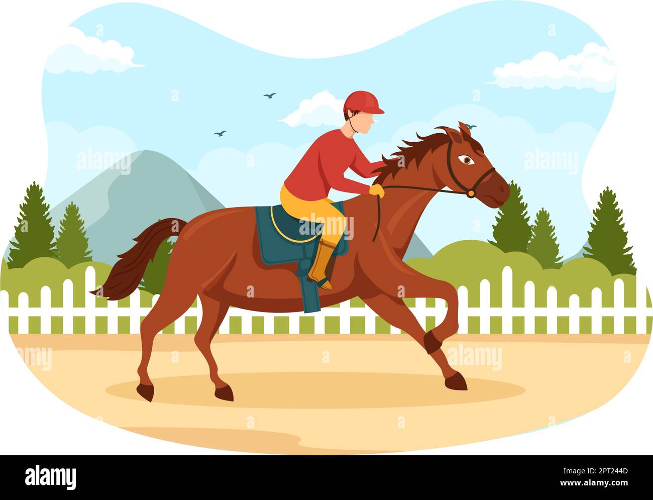 Equestrian Sport Horse Trainer with Training, Riding Lessons and