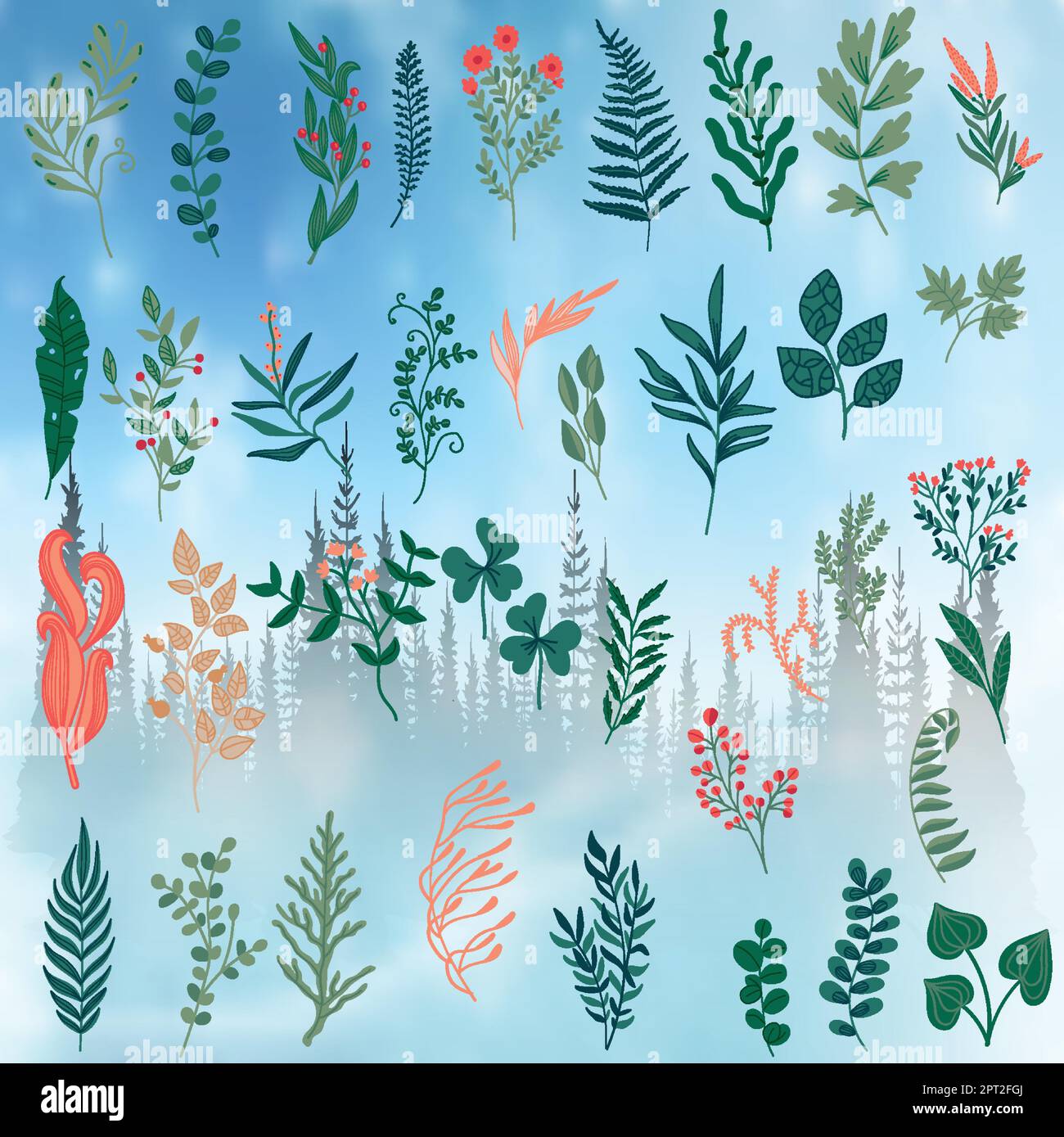 Big vector set of floral elements with hand drawn flowers and leaves ...