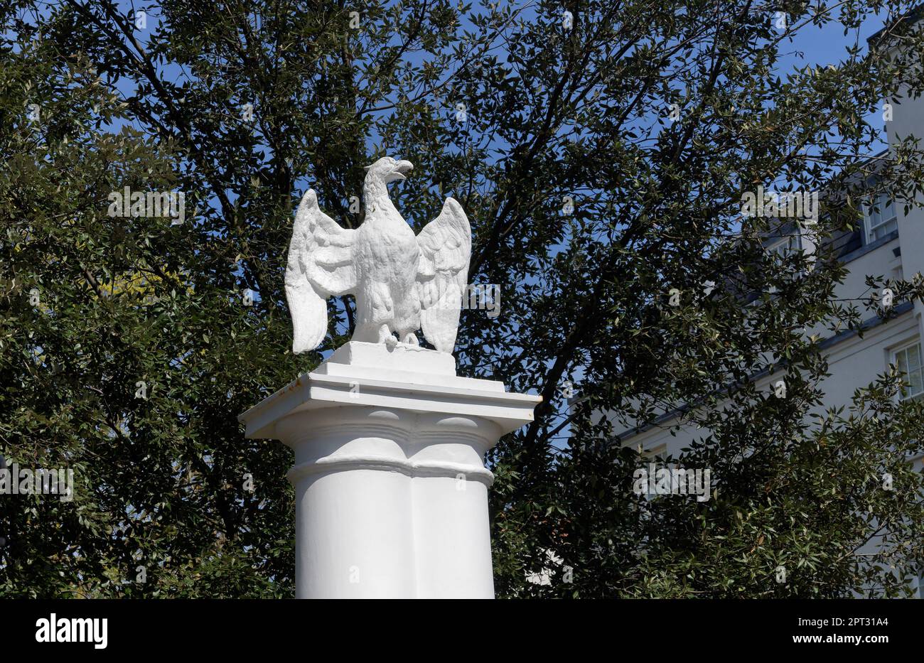 Statue of an phoenix with wings out on white stone column in Orme Square Bayswater London England with trees in background Stock Photo