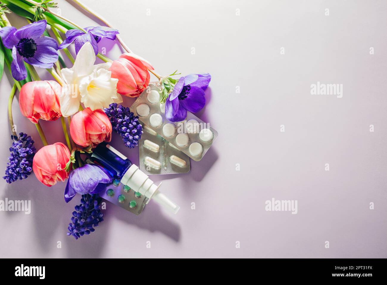 Seasonal spring allergy. Antihistamine pills and nasal spray flat lay with purple pink flowers. Healthcare and medicine. Top view. Space Stock Photo