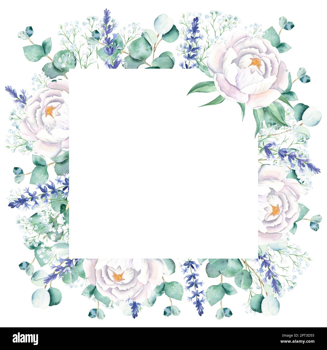 Watercolor square frame, white peonies, eucalyptus, gypsophila and lavender branches. Hand drawn botanical illustration isolated on white background Stock Photo