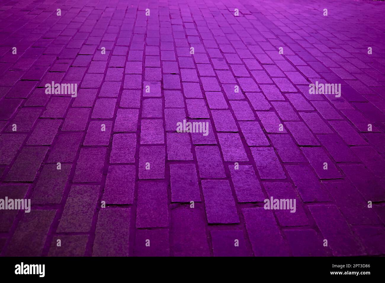 Background. Rectangular cobblestone street with purple light.No one, parallel, perpendicular, perspective depth Stock Photo