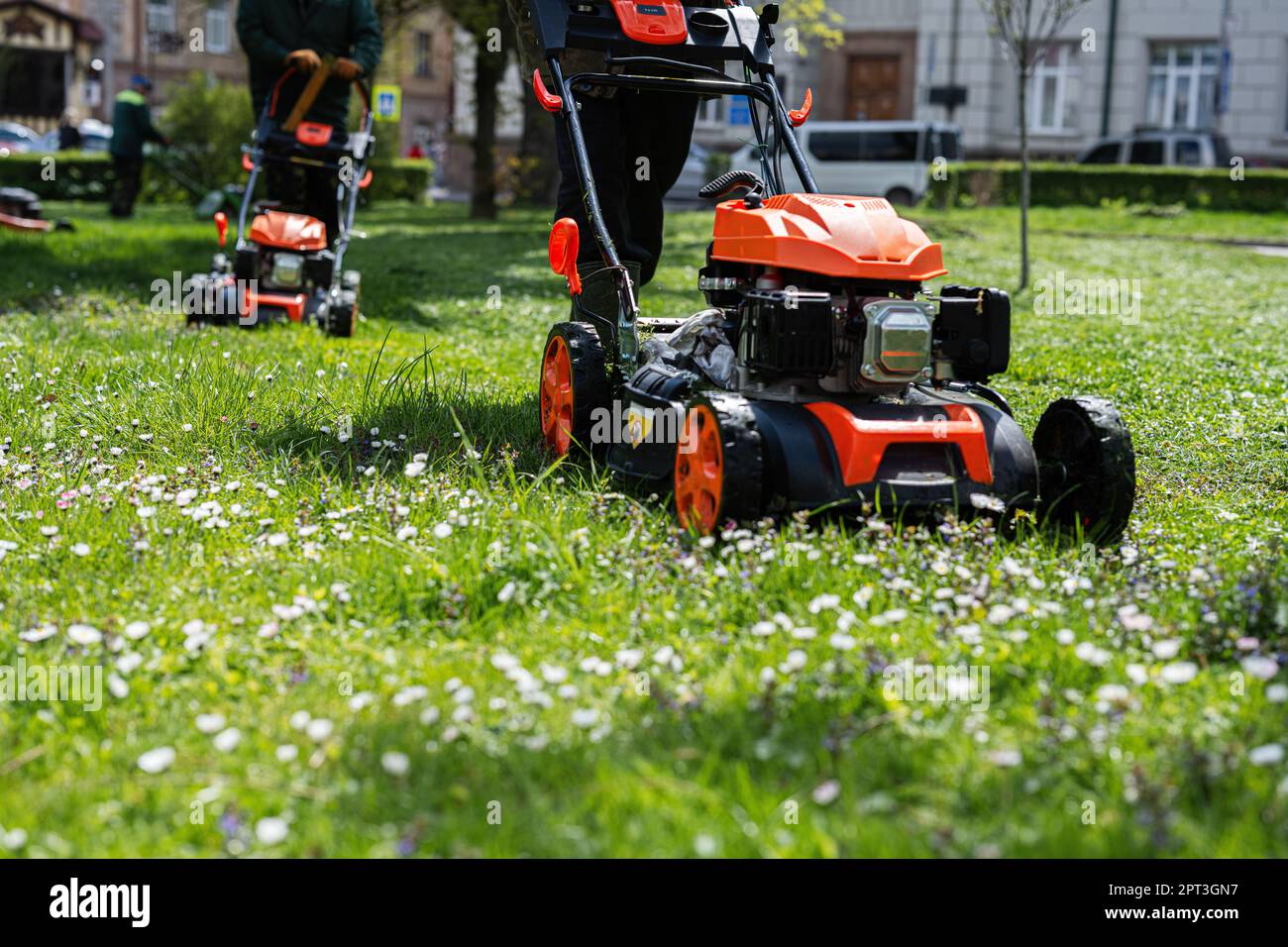 Grass cutting workers new arrivals