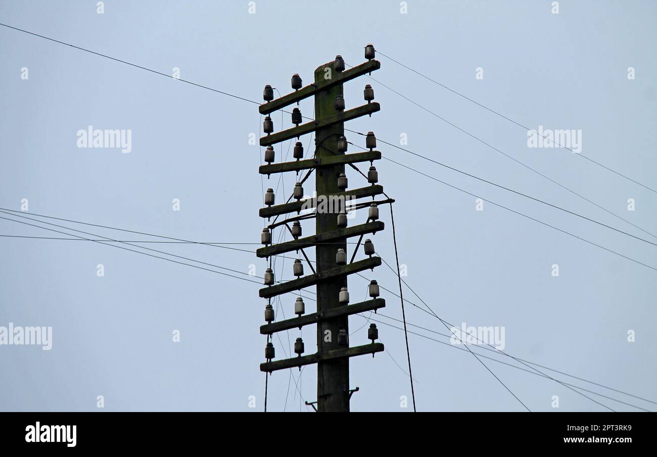The Wires and Insulators on a Wooden Telegraph Pole. Stock Photo