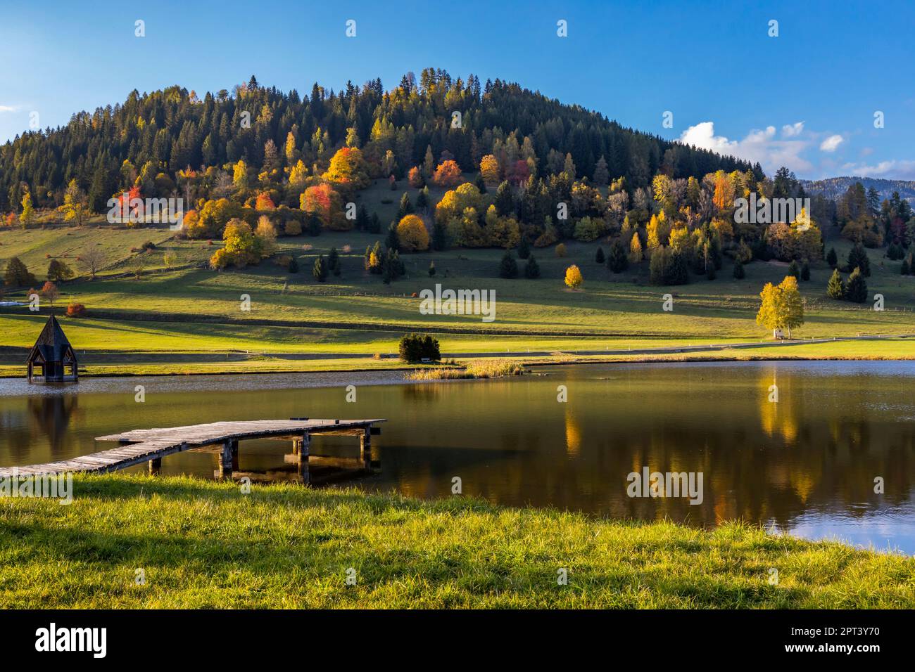 autumn pond under the mountains, Murau district, Styria, Austria Stock Photo