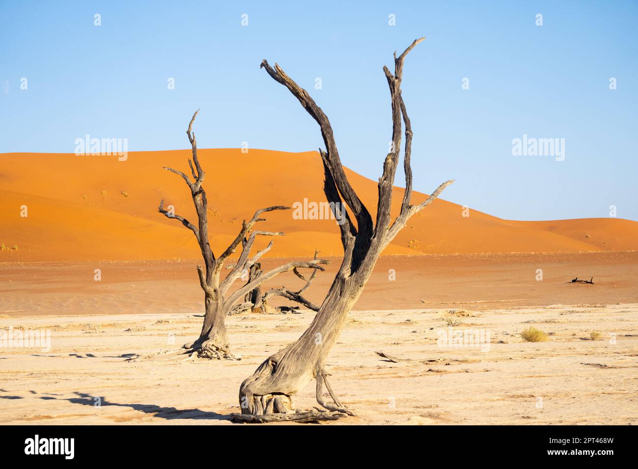 Death Valley Sossusvlei  Sand dunes Nambia Stock Photo