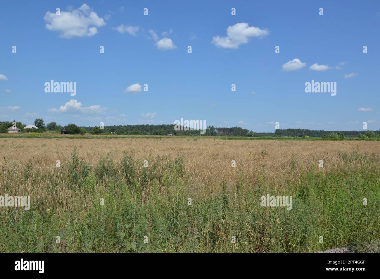 Panorama of landscape fields and roads in a the village Stock Photo - Alamy
