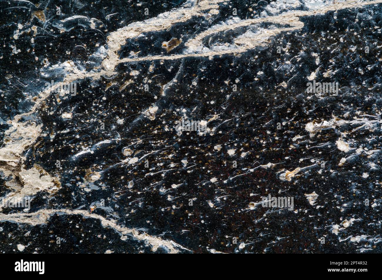 High contrast macro photo of obsidian showing many subsurface bubbles