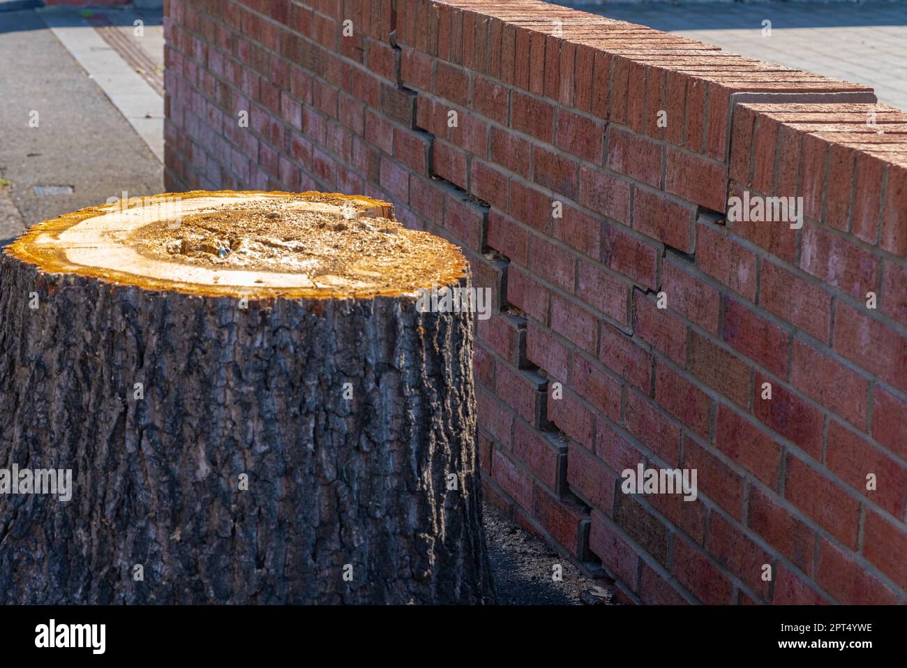 Subsidence, downward, vertical movement, Earth's surface, natural processes, human activities