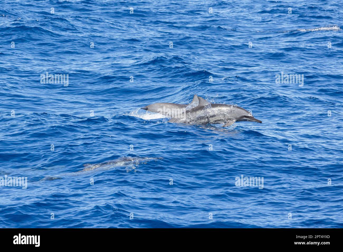 Hualien ocean park hi-res stock photography and images - Alamy