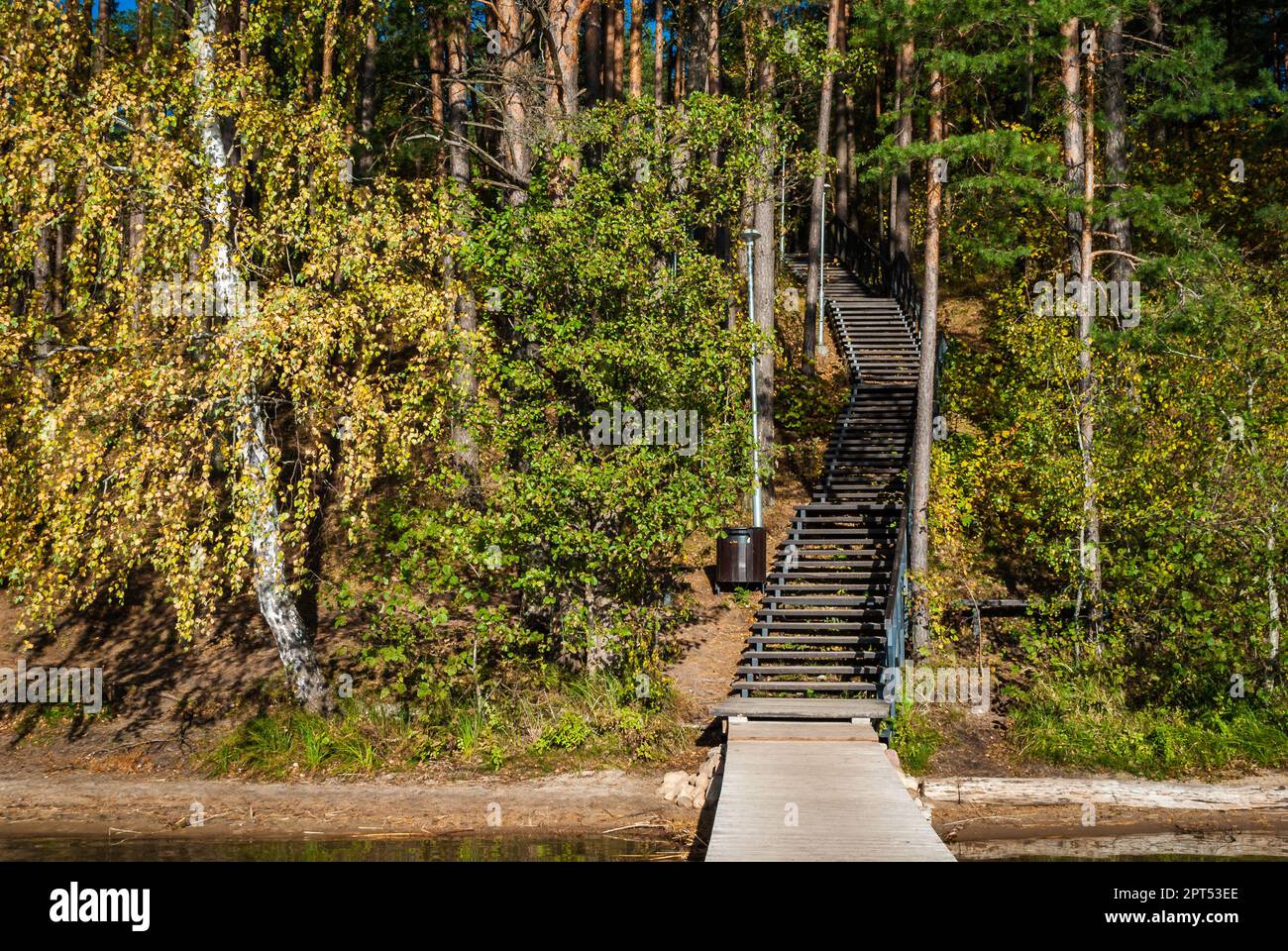 Wooden staircase in the middle of the forest on the shore of Lake Baltieji Lakajai in Labanoras Regional Park, Lithuania. Stock Photo