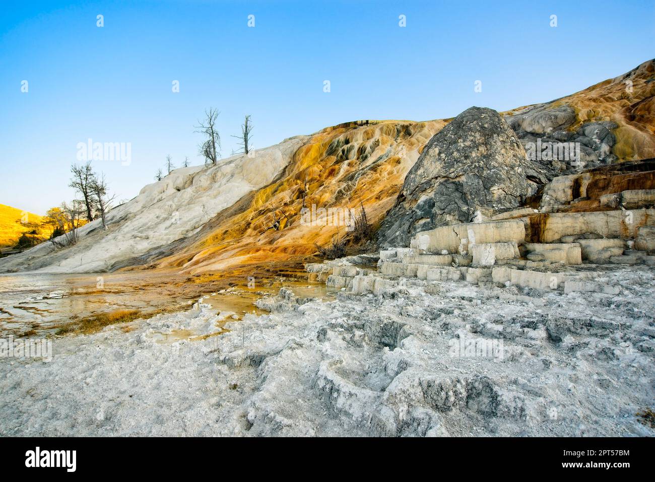 Palette Spring at Mammoth Hot Springs in Yellowstone National Park, featuring colorful runoff and mineral deposits Stock Photo