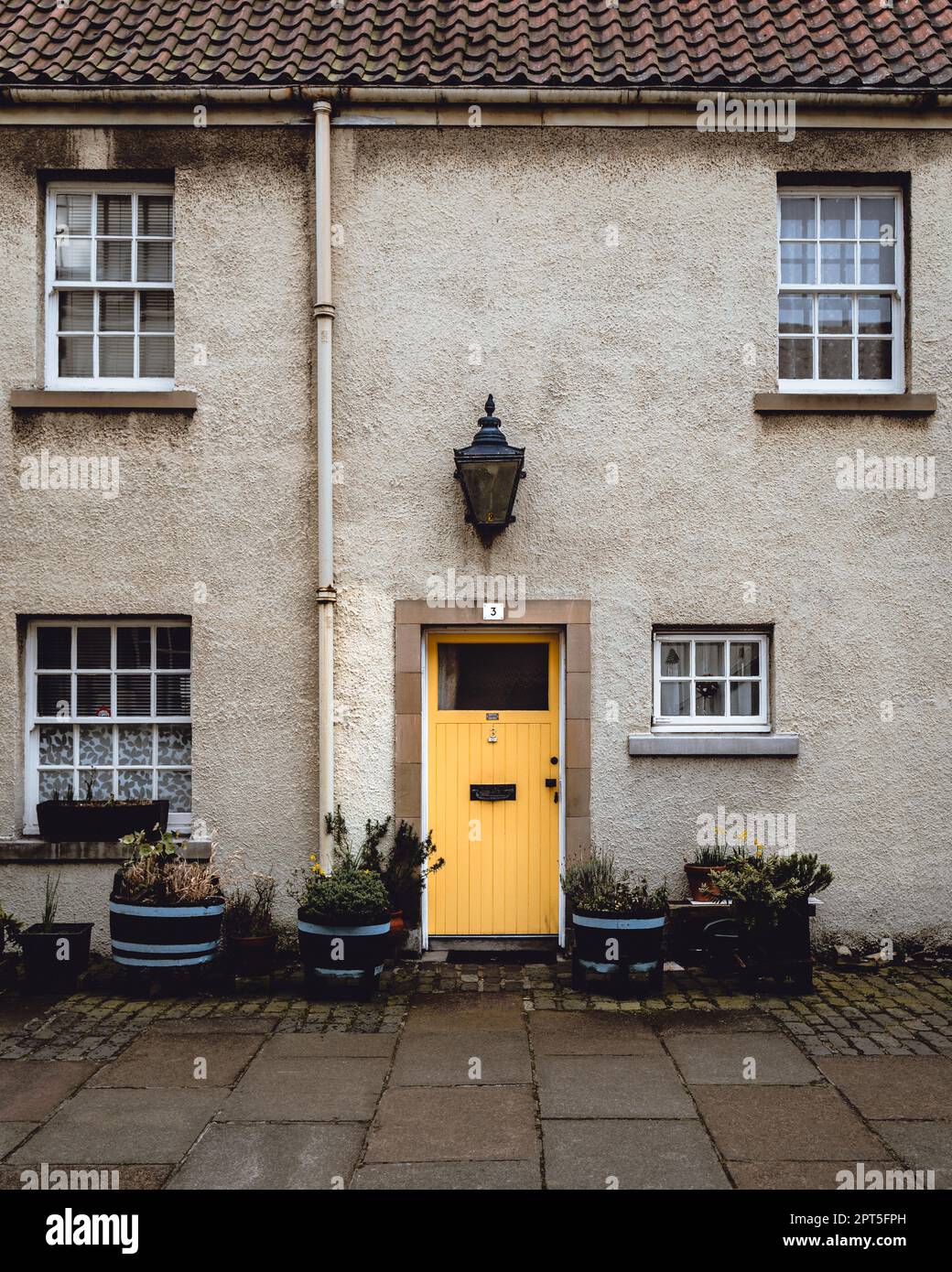 Entrance with plant pots in Edinburgh Stock Photo Alamy