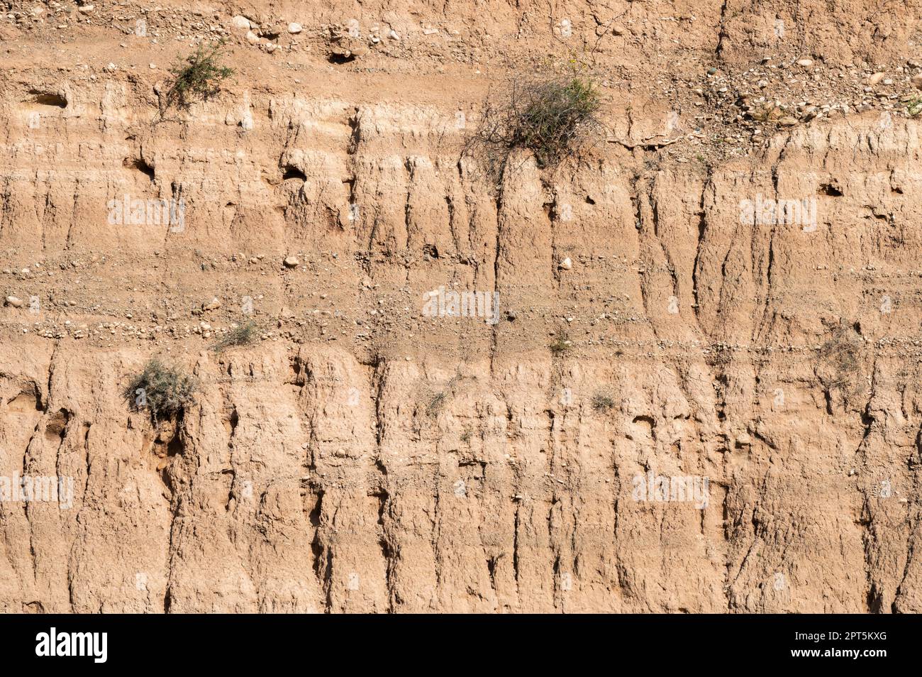 Rough textured brown rocks with erosion in Peyia, Cyprus Stock Photo ...