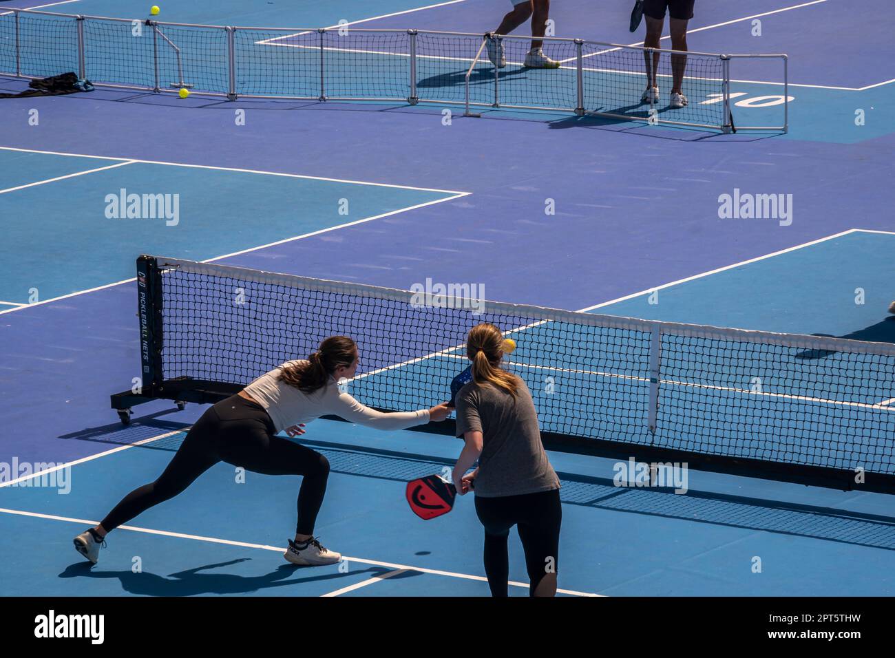 Pickleball players in the Wollman Ice Skating rink, converted into 14 pickleball courts, on