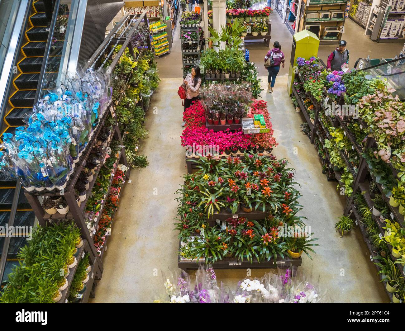 Gardening department in the Home Depot store in Chelsea in New York on Tuesday, April 25, 2023. (© Richard B. Levine) Stock Photo