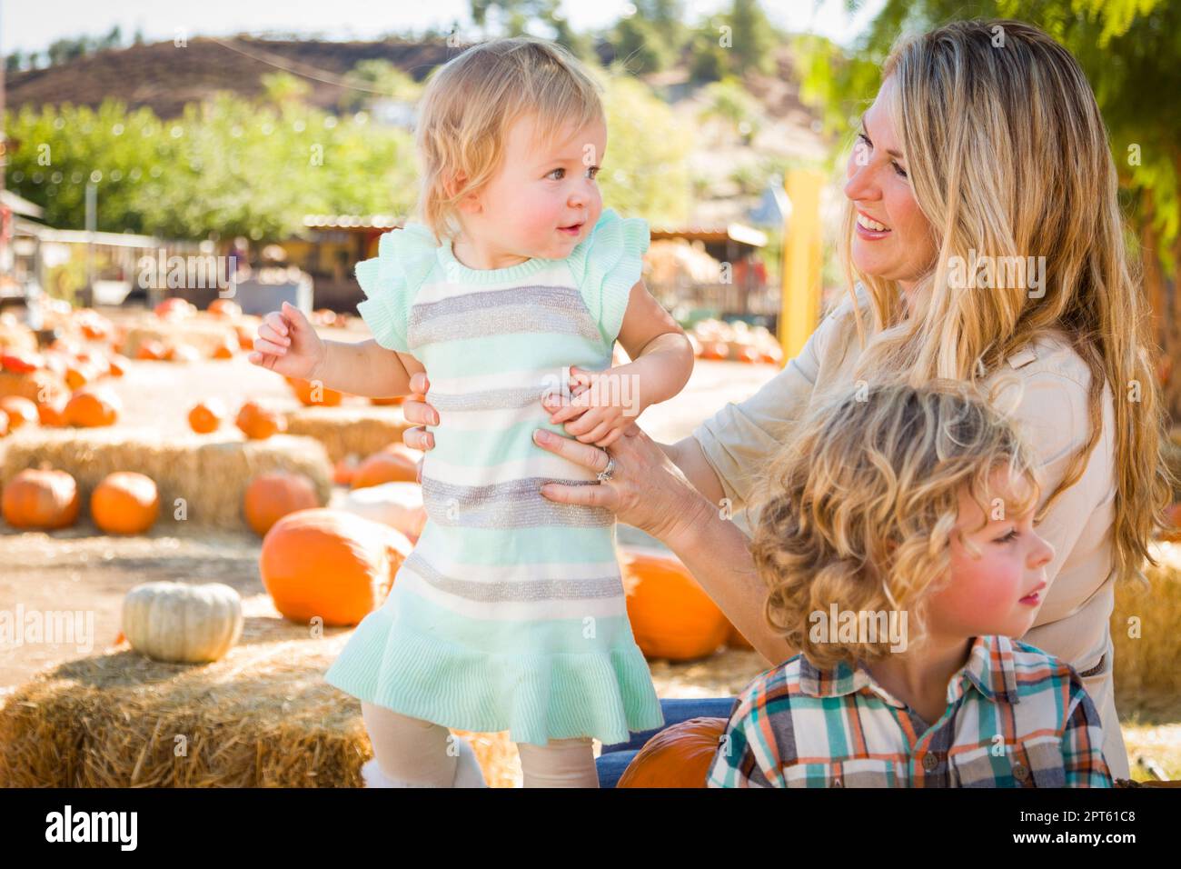 Adorable Young Family Enjoys a Day at the Pumpkin Patch Stock Photo - Alamy