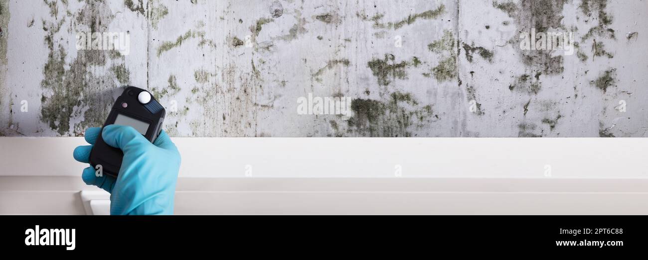 Mold Damage Test. Wet Concrete With Moisture Stock Photo Alamy