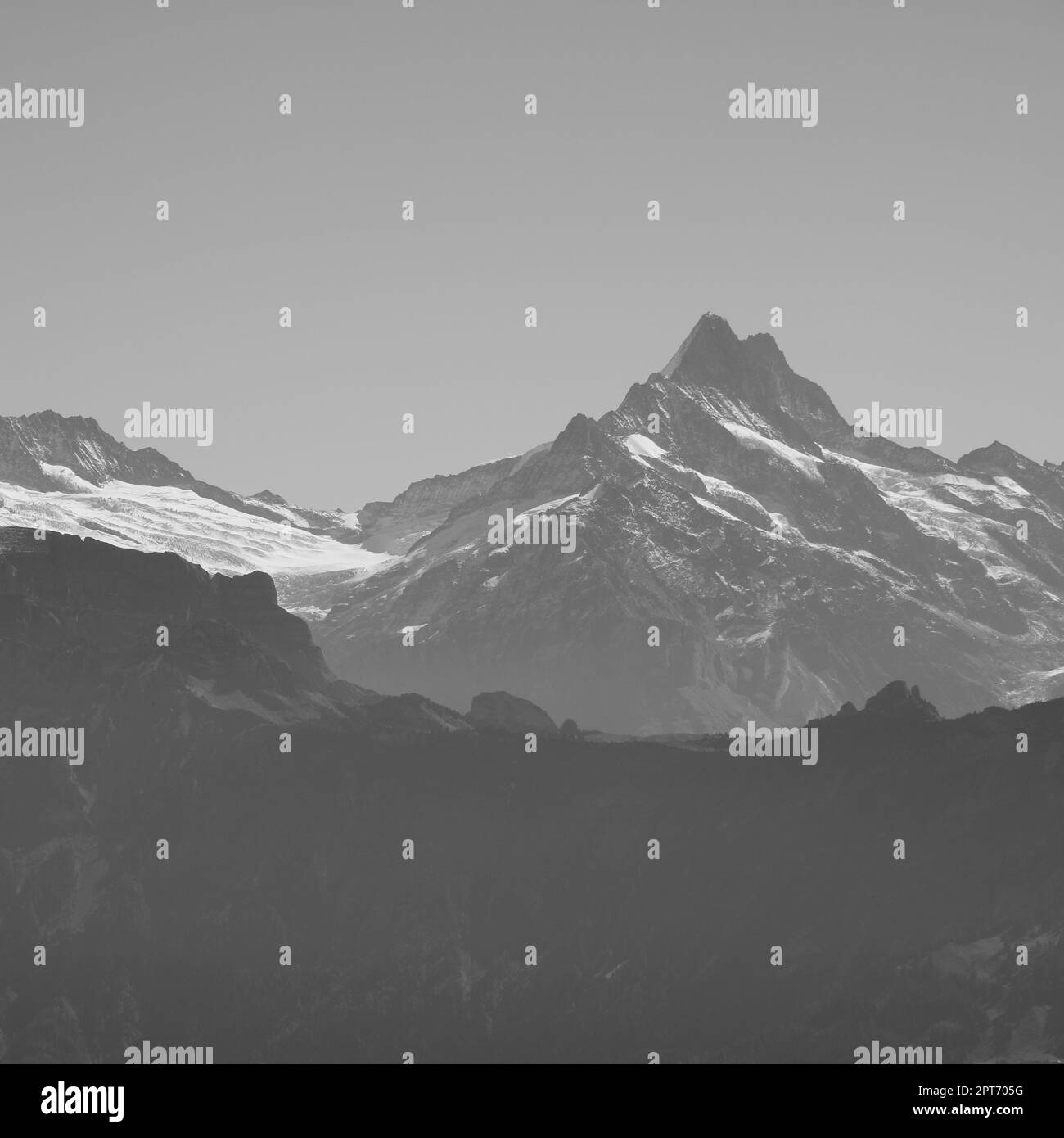 Mount Schreckhorn and Upper Grindelwald Glacier Stock Photo Alamy