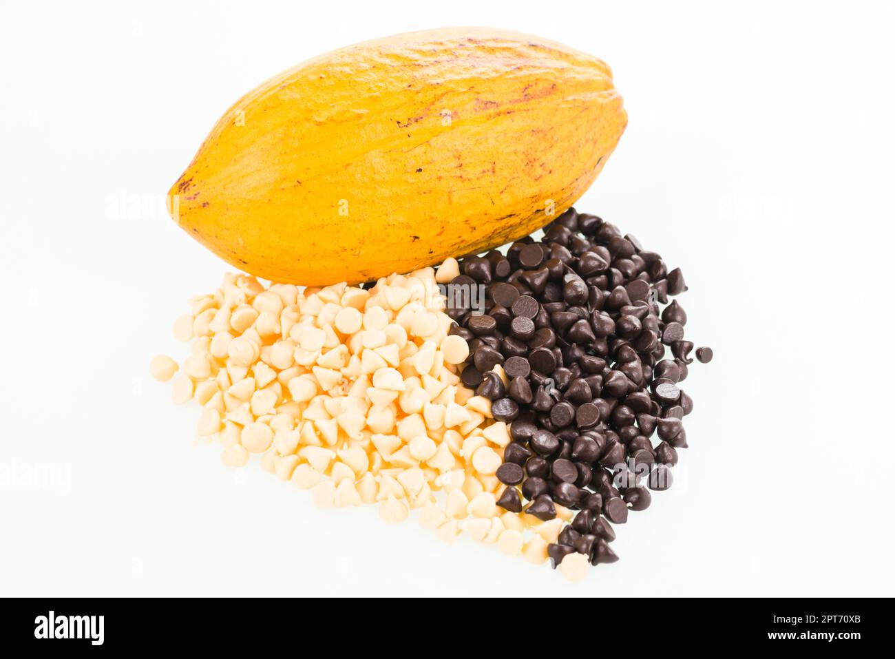 Fresh Cocoa Pod over white background Stock Photo