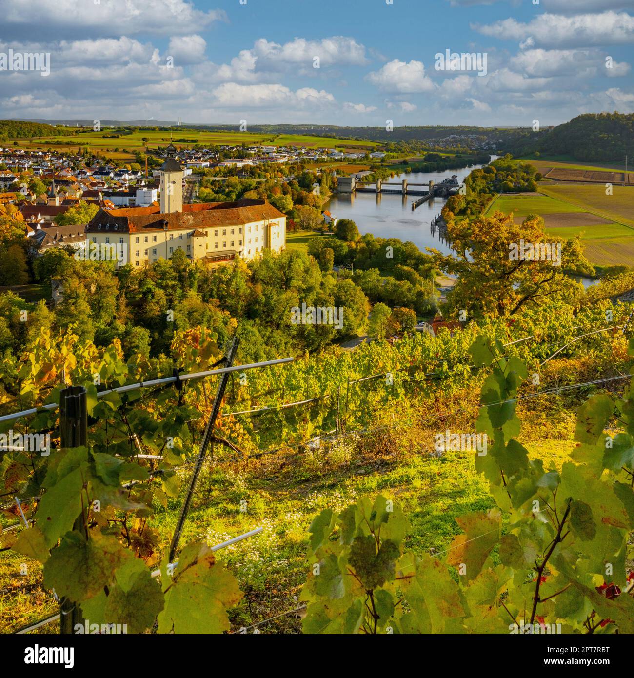 Wine experience in the lower Neckar valley Stock Photo Alamy