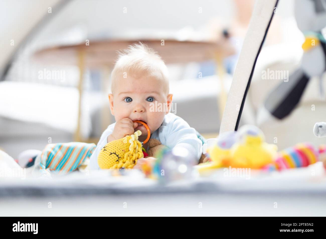 Cute baby boy playing with hanging toys arch on mat at home Baby activity and play center for early infant development. Baby playing at home. Stock Photo