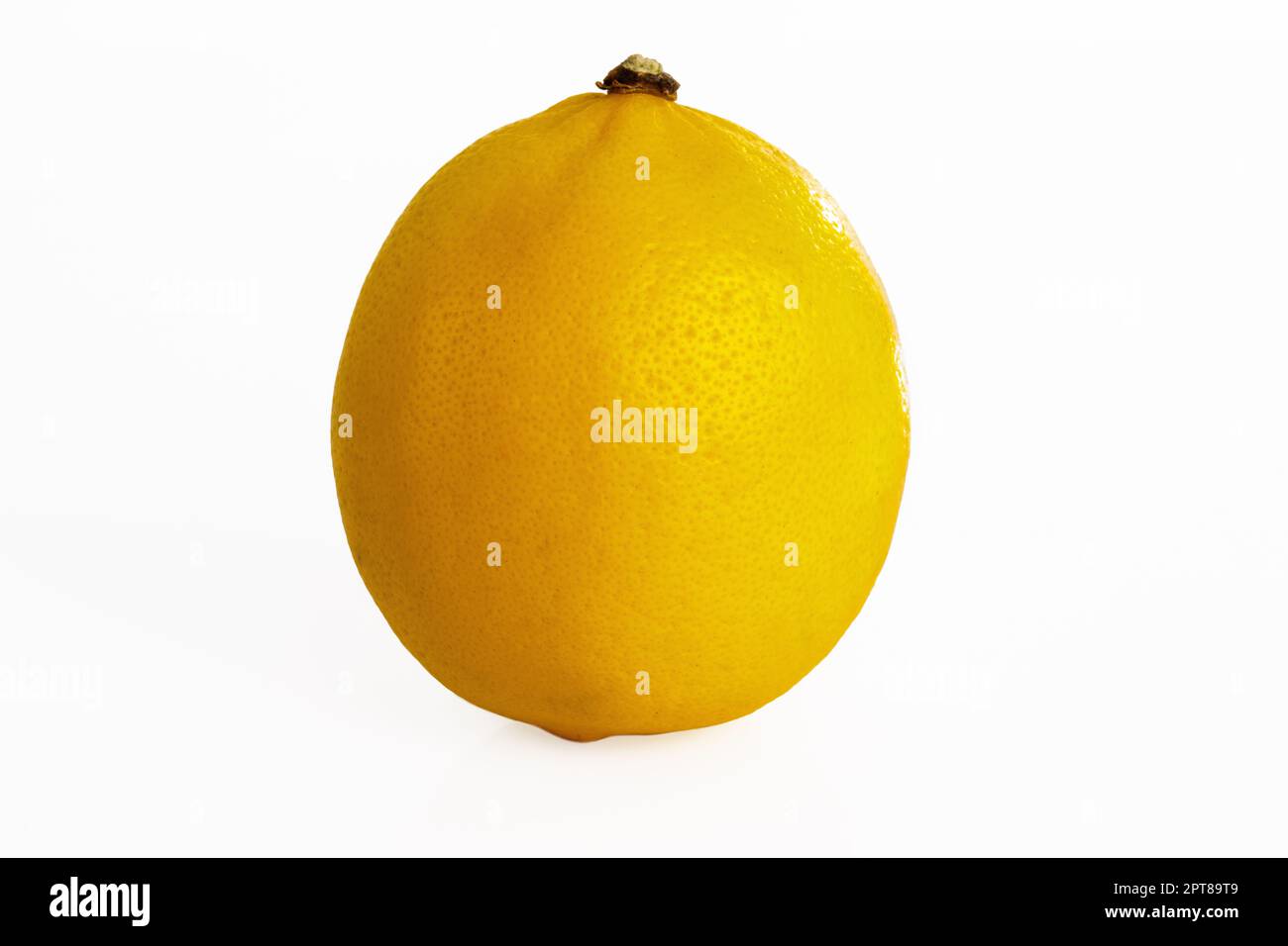 lemon fruit isolated on white background Stock Photo - Alamy