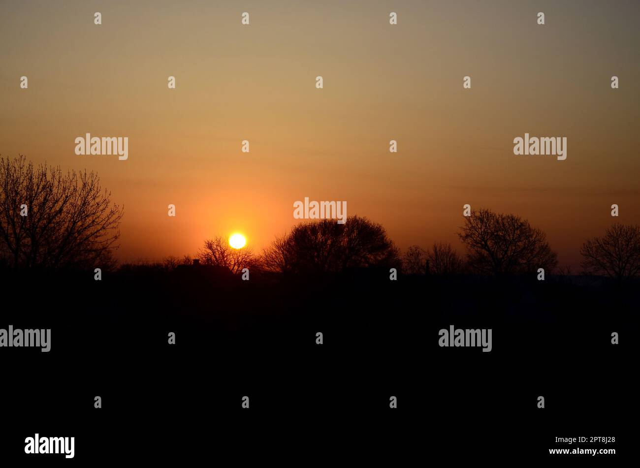 Dawn in the village. Sunrise in the suburban landscape Stock Photo