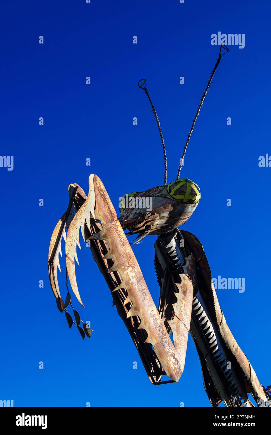Rusty steel praying mantis, Burning Man Festival motto figure, Fremont Street, Las Vegas, Nevada, USA Stock Photo